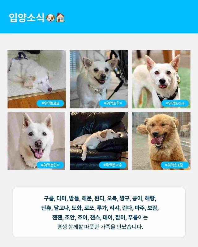 월간 위액트 7월호 현장 사진