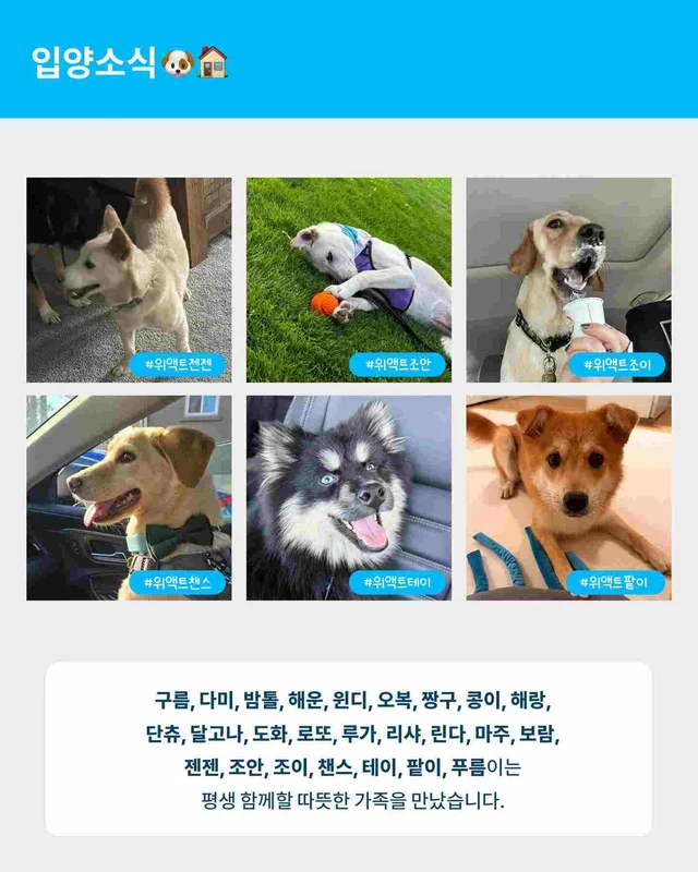 월간 위액트 7월호 현장 사진