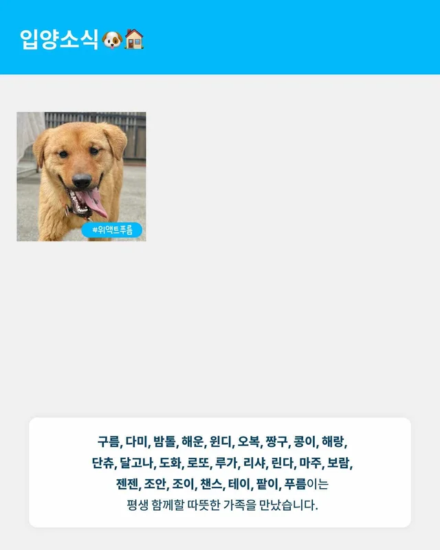 월간 위액트 7월호 현장 사진