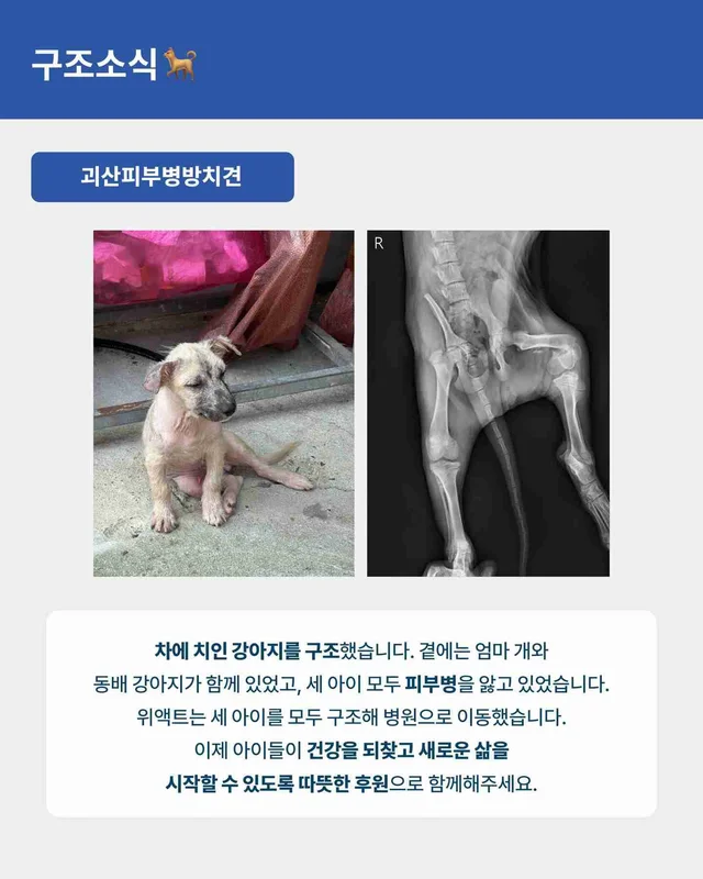 월간 위액트 7월호 현장 사진