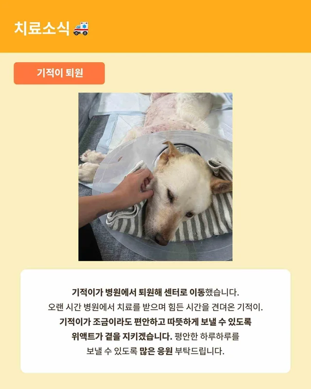 월간 위액트 7월호 현장 사진