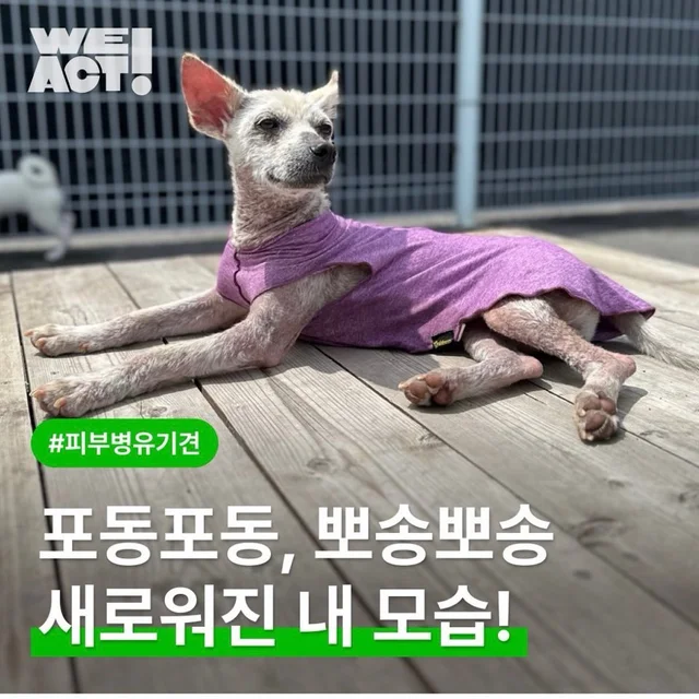 포동포동, 뽀송뽀송 새로워진 내 모습! 현장 사진
