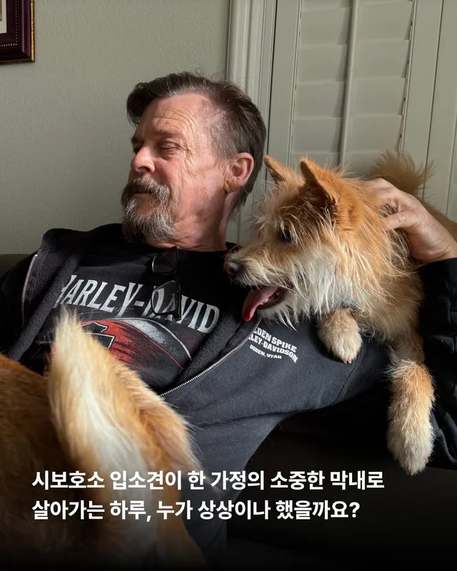 왕자님이 된 개가 있다!! #위액트보들 현장 사진