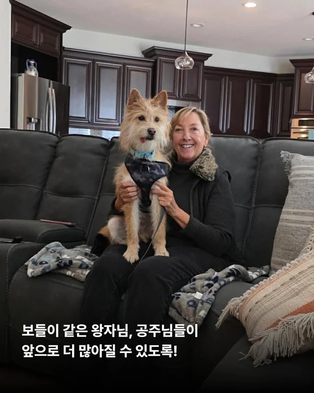 왕자님이 된 개가 있다!! #위액트보들 현장 사진