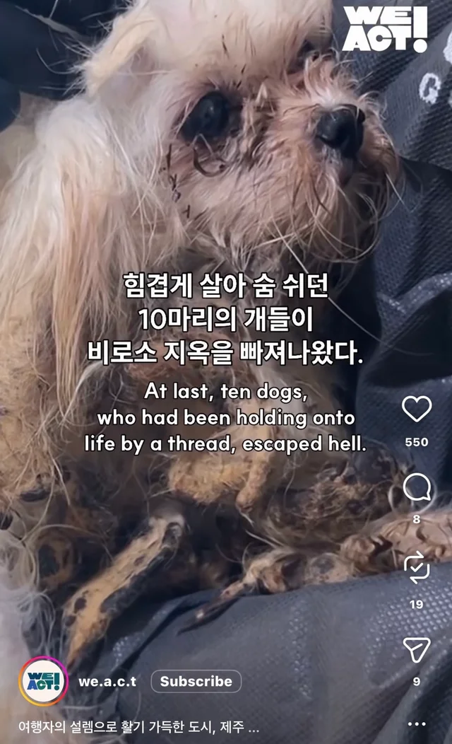 제주 2박3일_1 현장 사진