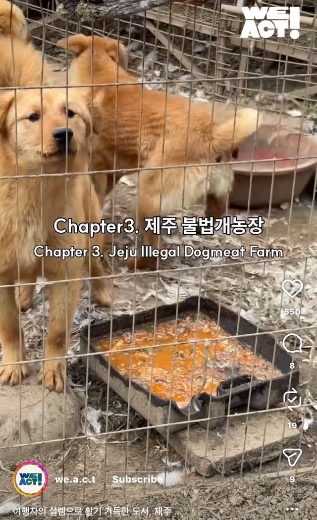 제주 2박3일_1 현장 사진