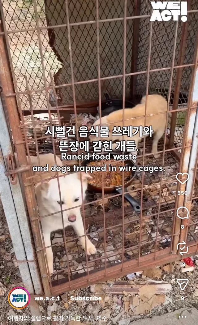 제주 2박3일_1 현장 사진