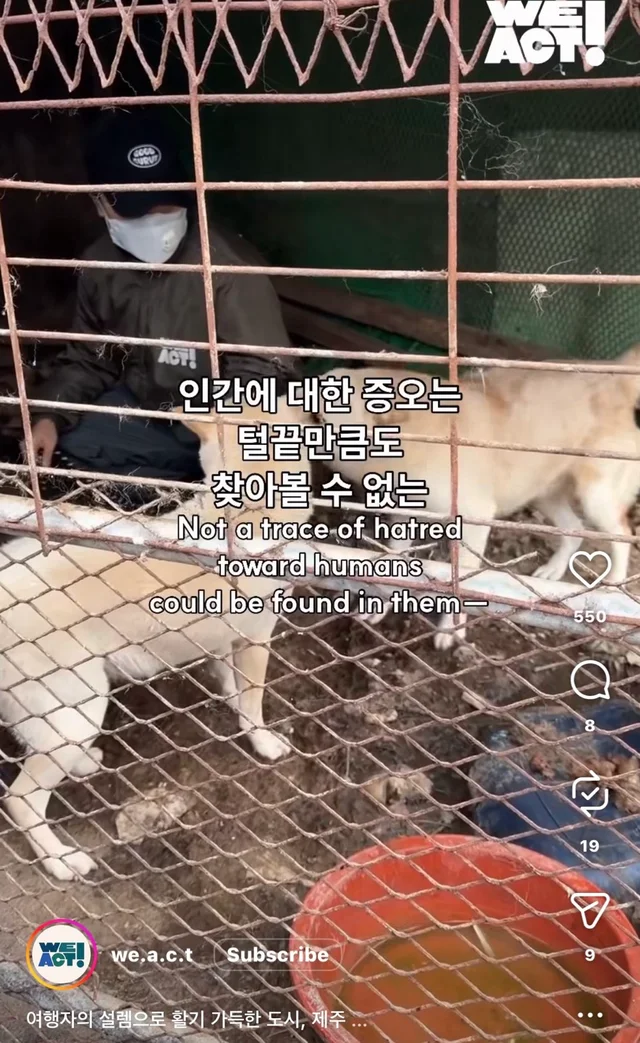 제주 2박3일_1 현장 사진