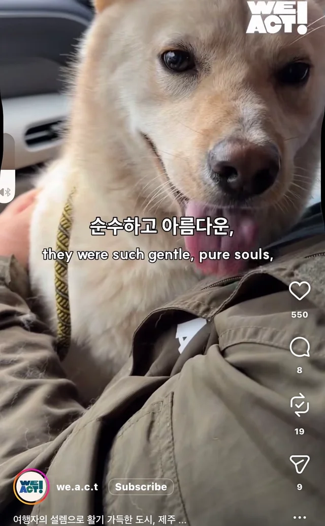 제주 2박3일_1 현장 사진
