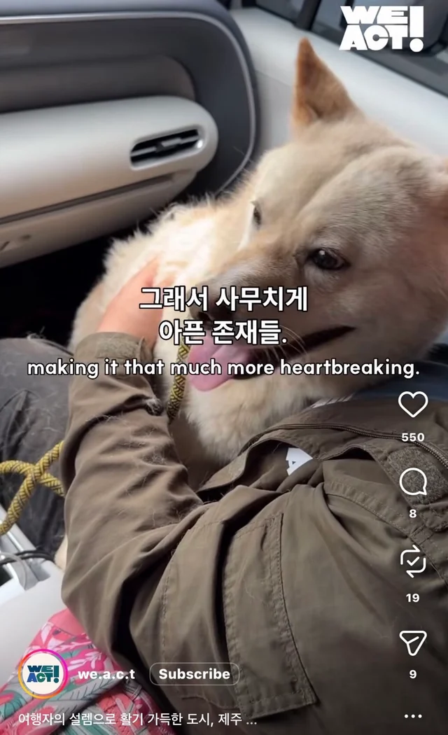 제주 2박3일_1 현장 사진