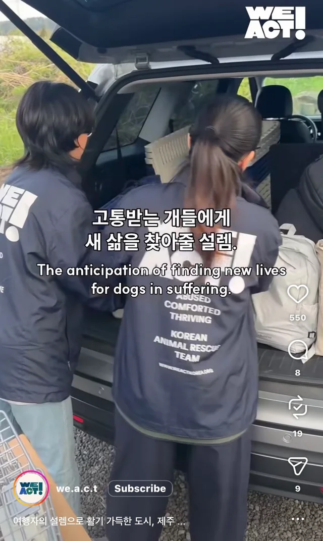 제주 2박3일_1 현장 사진