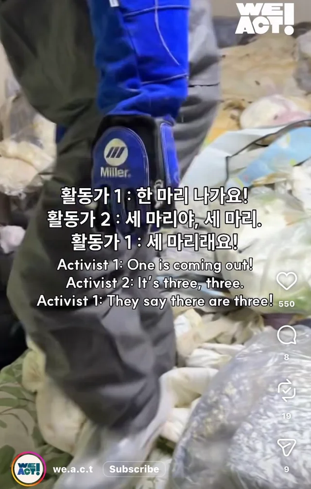 제주 2박3일_1 현장 사진