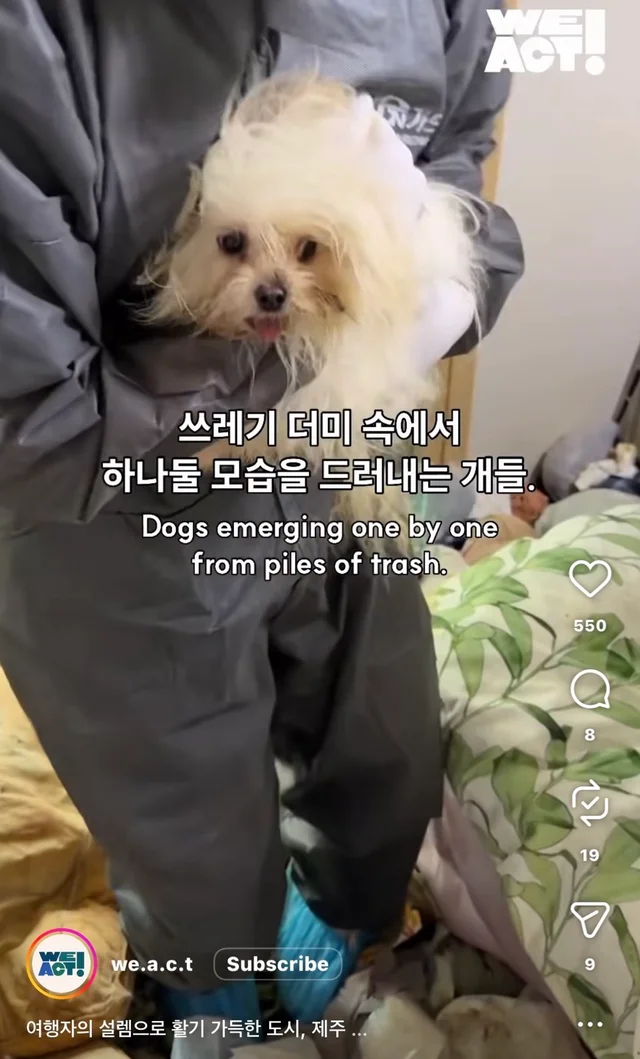 제주 2박3일_1 현장 사진