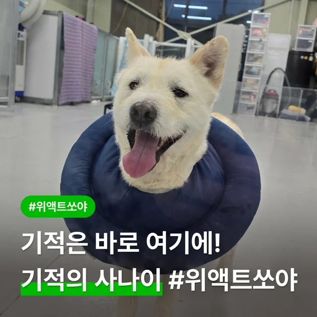 기적은 바로 여기에! 기적의 사나이 #위액트쏘야! 현장 사진