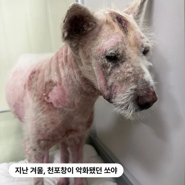 기적은 바로 여기에! 기적의 사나이 #위액트쏘야! 현장 사진