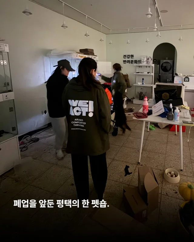 평택 펫숍방치견 현장 사진
