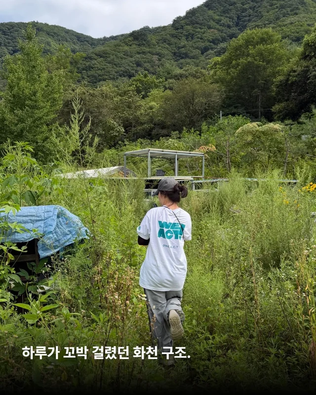 희망이가 살린 일곱 생명들 현장 사진