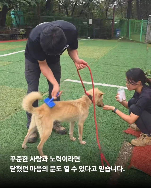 희망이가 살린 일곱 생명들 현장 사진