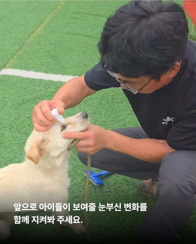희망이가 살린 일곱 생명들 현장 사진