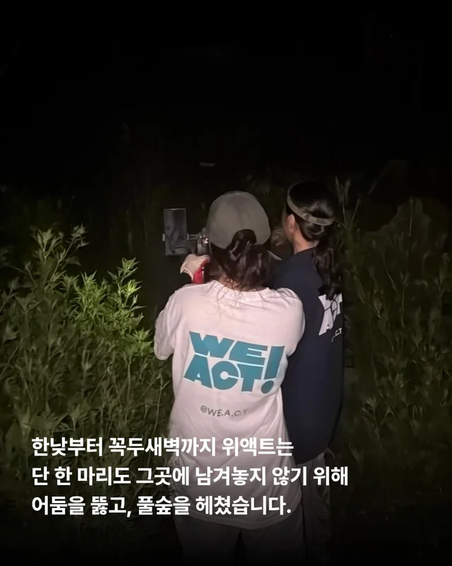 희망이가 살린 일곱 생명들 현장 사진