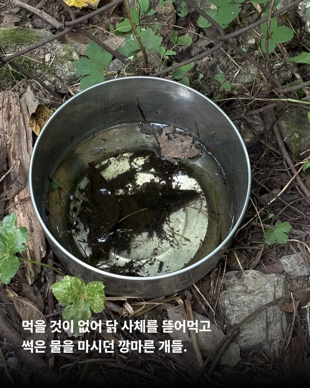 희망이가 살린 일곱 생명들 현장 사진