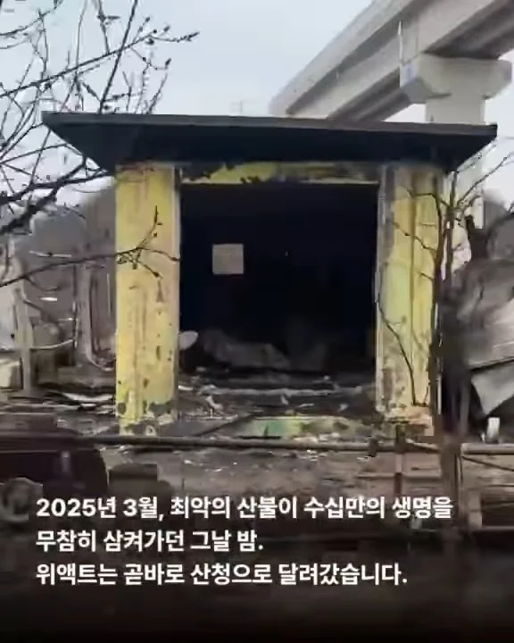당신이 살려준 백구 한 마리 - 위액트차차 현장 사진