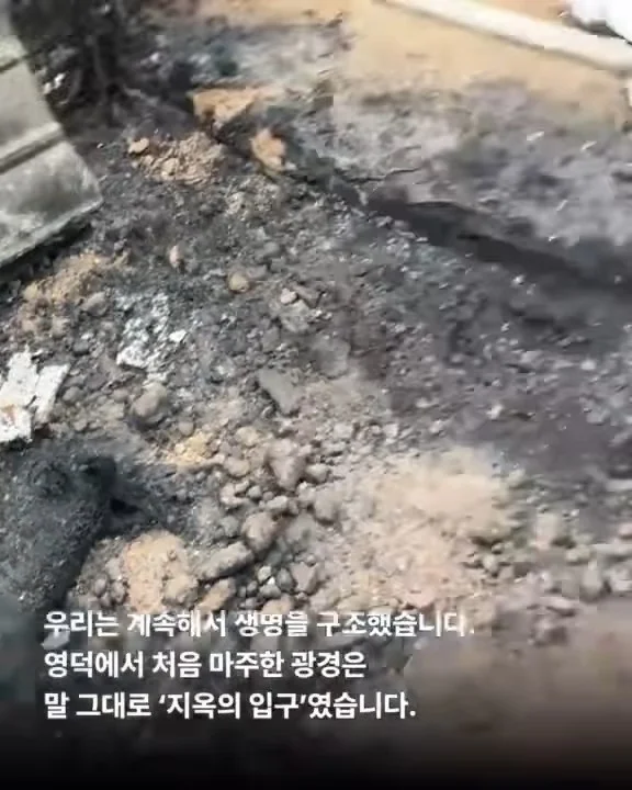 당신이 살려준 백구 한 마리 - 위액트차차 현장 사진