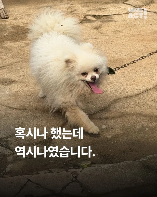 혹시나 했는데 역시나였습니다. 현장 사진