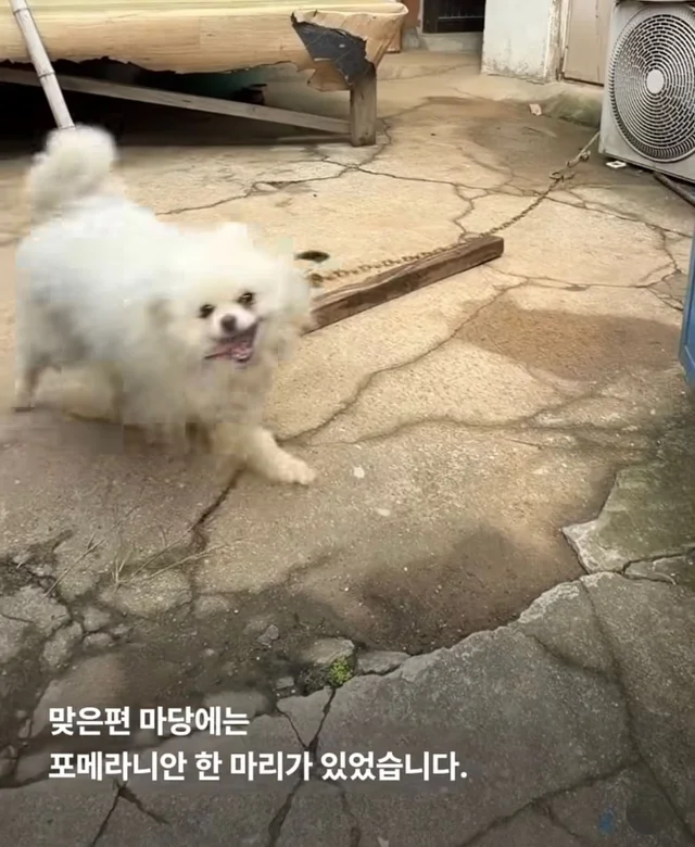 혹시나 했는데 역시나였습니다. 현장 사진
