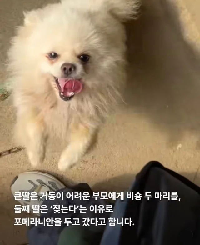 혹시나 했는데 역시나였습니다. 현장 사진