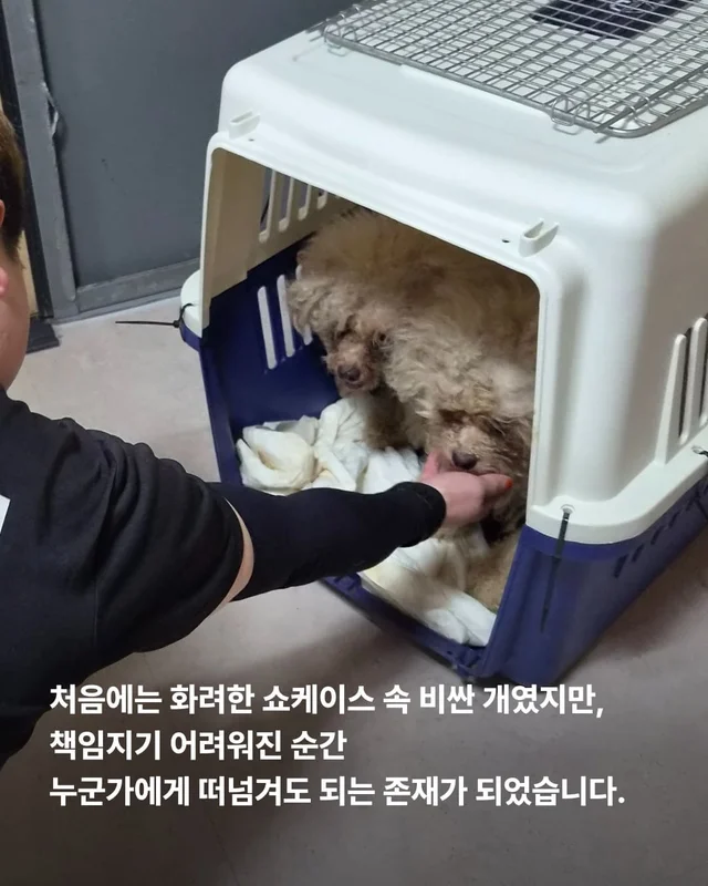 혹시나 했는데 역시나였습니다. 현장 사진