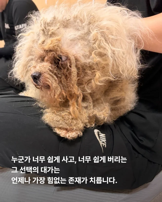 혹시나 했는데 역시나였습니다. 현장 사진