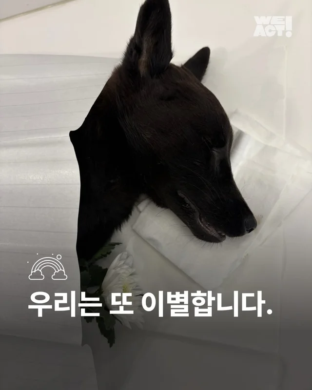 우리는 또 이별합니다 현장 사진