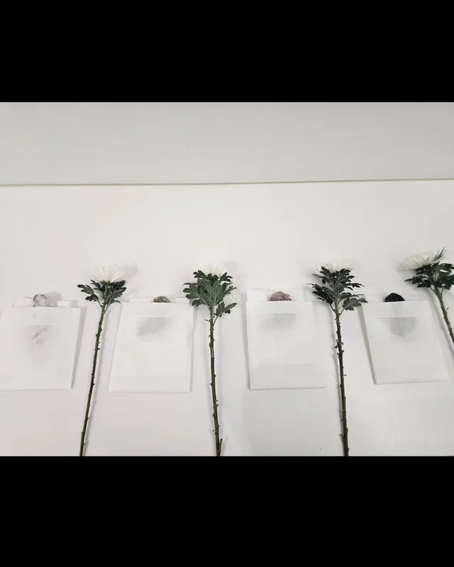 우리는 또 이별합니다 현장 사진