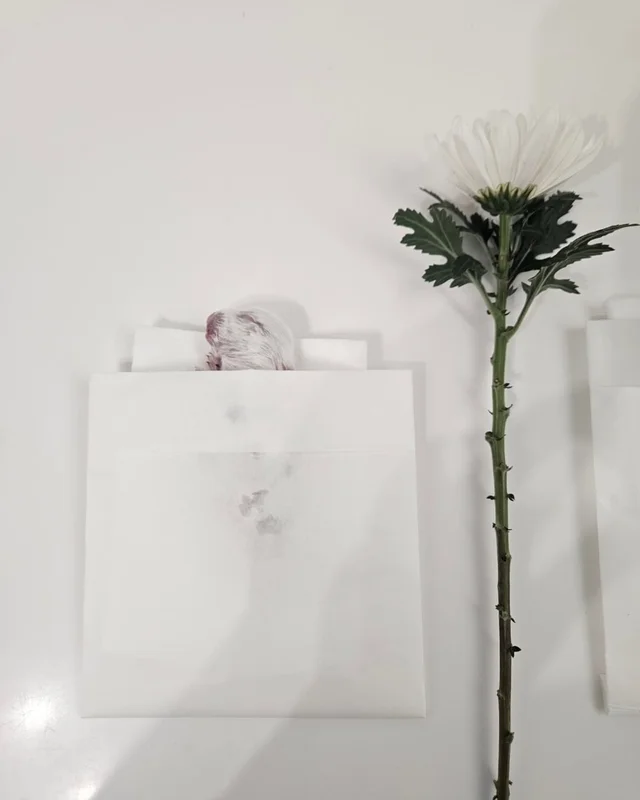 우리는 또 이별합니다 현장 사진