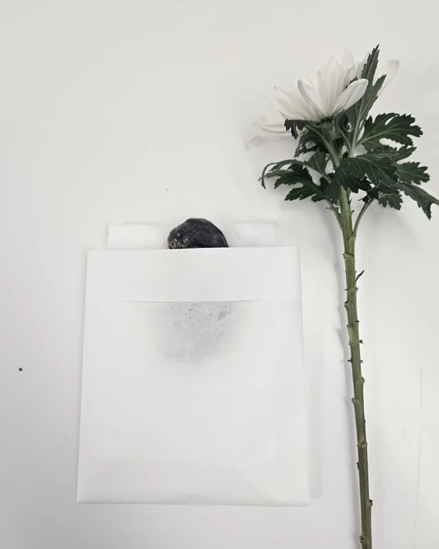 우리는 또 이별합니다 현장 사진