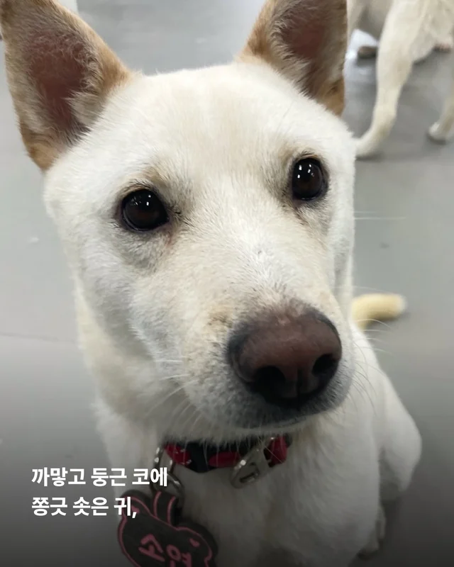 진도is 러브 현장 사진