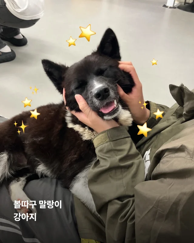 진도is 러브 현장 사진