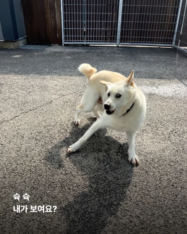 진도is 러브 현장 사진