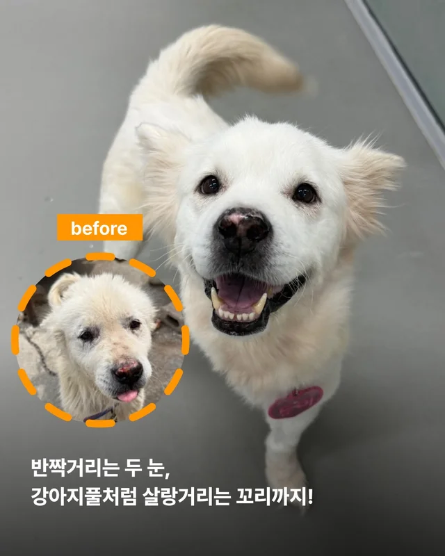 진도is 러브 현장 사진