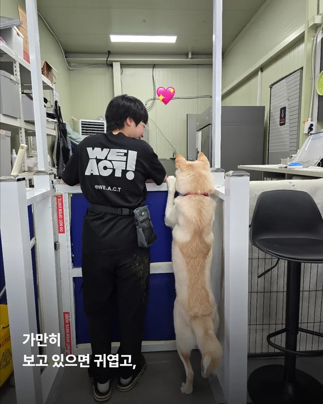 진도is 러브 현장 사진