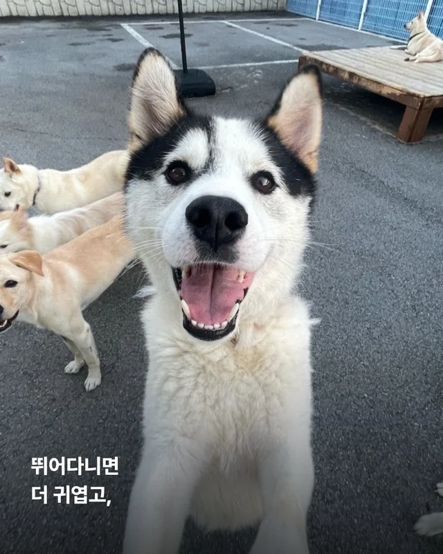 진도is 러브 현장 사진