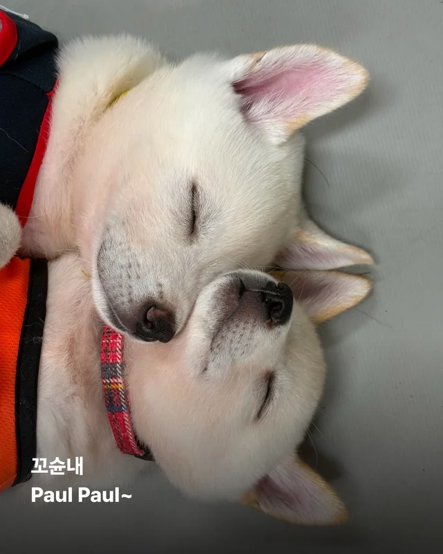진도is 러브 현장 사진
