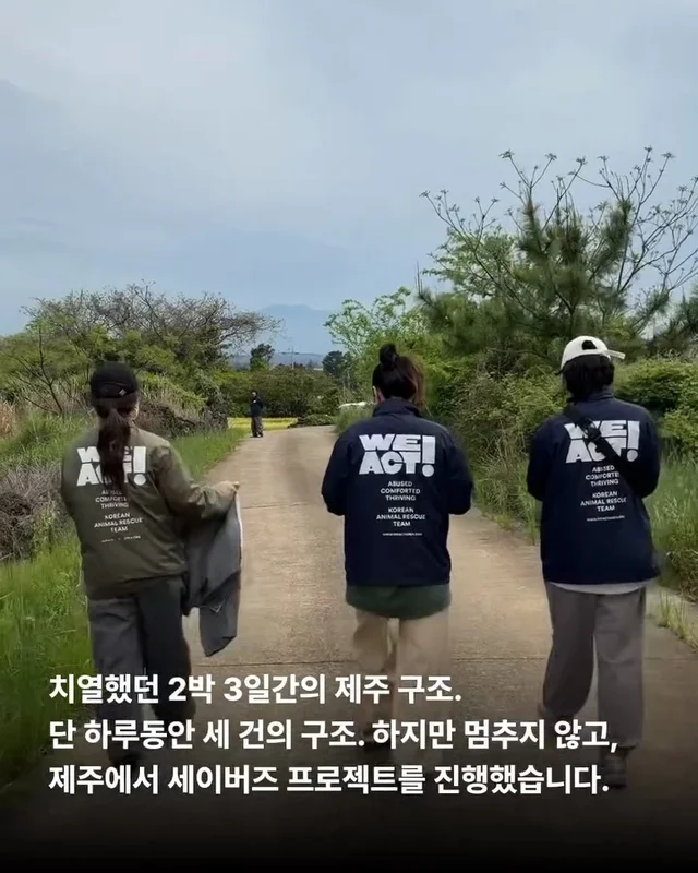 그저 더 살고싶었던 생명들 현장 사진