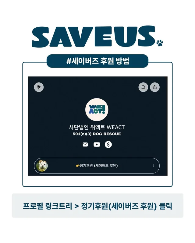 그저 더 살고싶었던 생명들 현장 사진