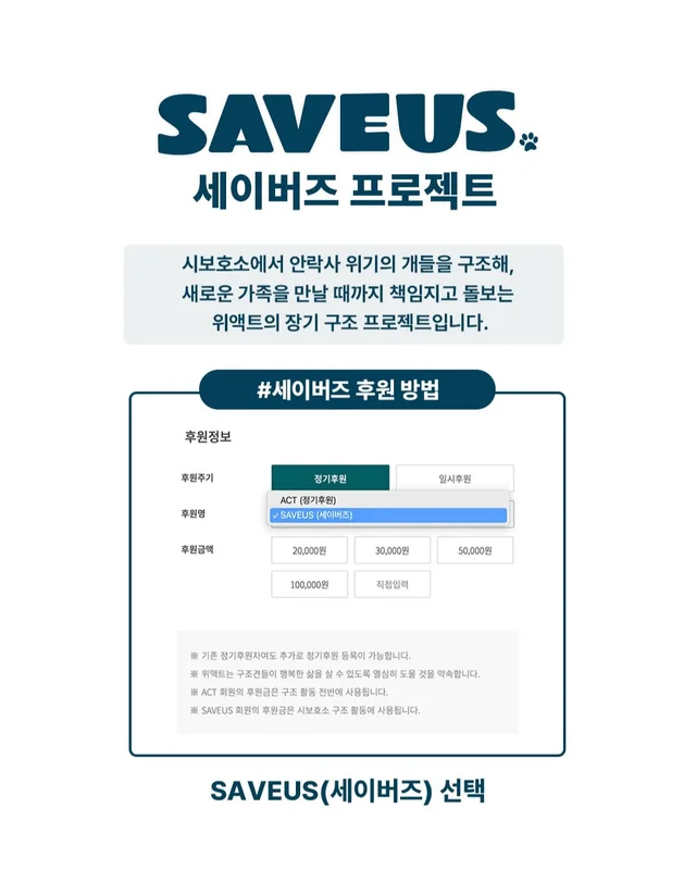 그저 더 살고싶었던 생명들 현장 사진