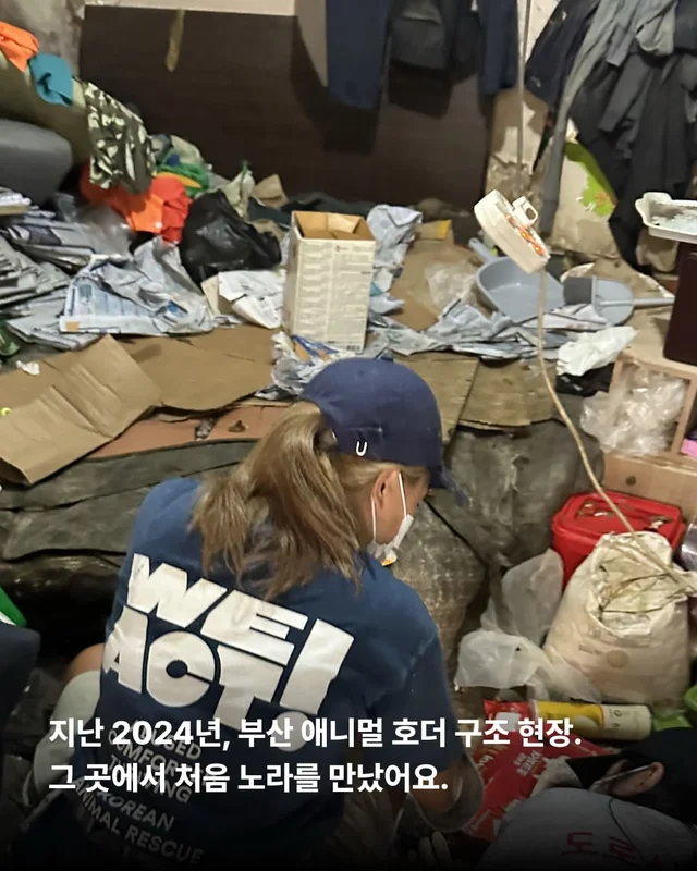 쥐와 함께 살던 개에게 생긴 특별한 날 현장 사진