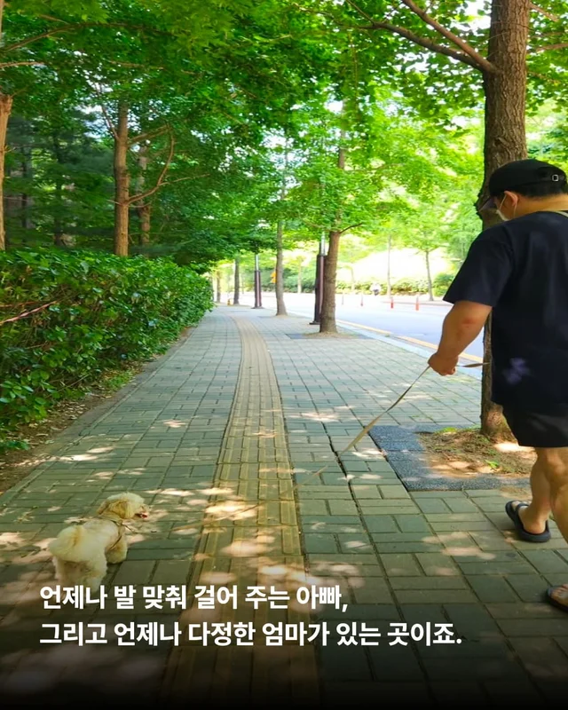 쥐와 함께 살던 개에게 생긴 특별한 날 현장 사진