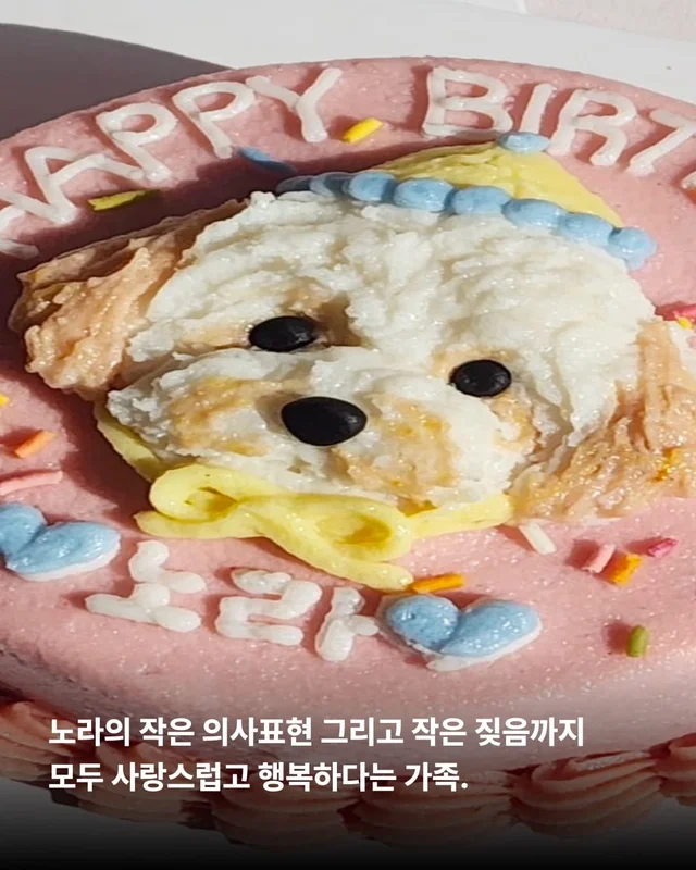 쥐와 함께 살던 개에게 생긴 특별한 날 현장 사진