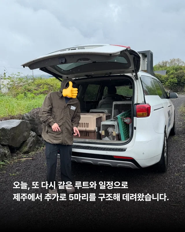 세이버즈프로젝트 제주시보호소 현장 사진